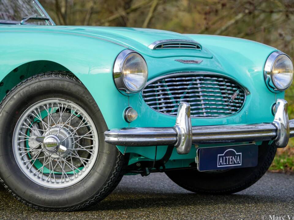 Immagine 16/48 di Austin-Healey 3000 Mk I (BN7) (1960)