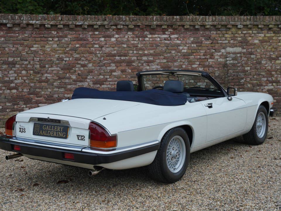 Image 2/50 of Jaguar XJS 5.3 V12 (1988)