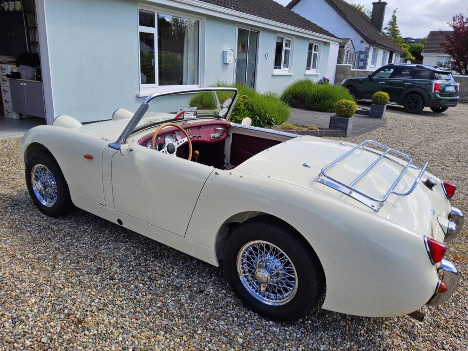 Image 1/32 of Austin-Healey Sprite Mk I (1959)
