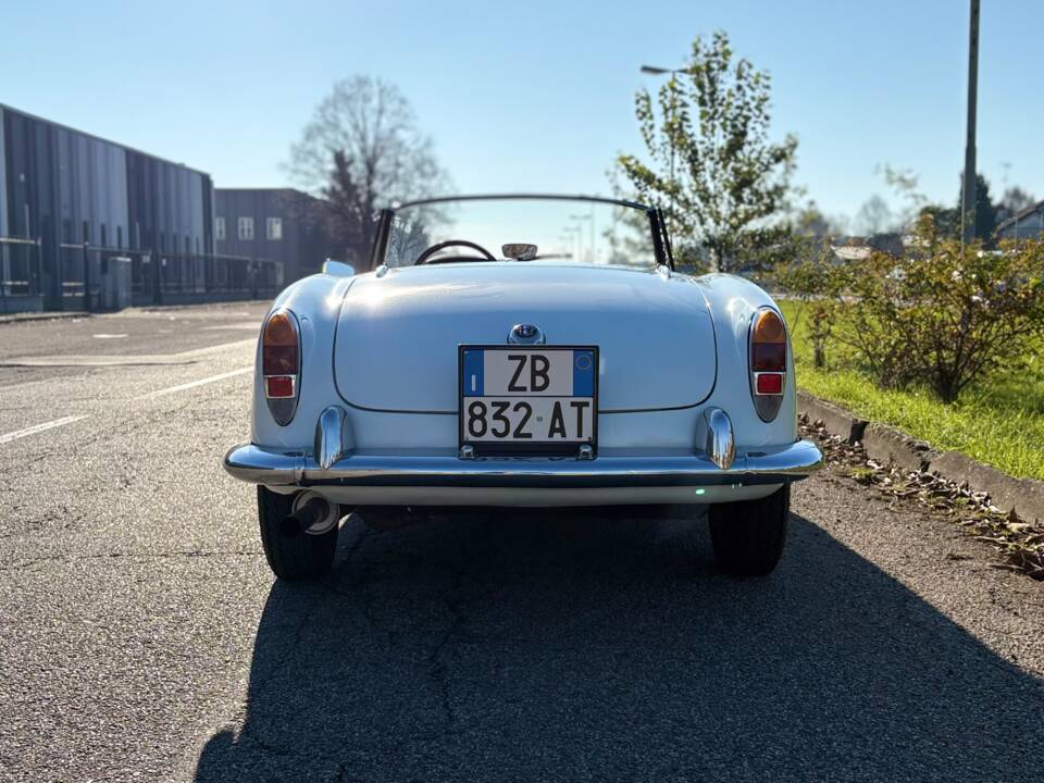 Bild 5/28 von Alfa Romeo Giulietta Spider (1961)