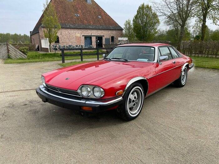 Image 4/7 of Jaguar XJ-S V12 (1990)