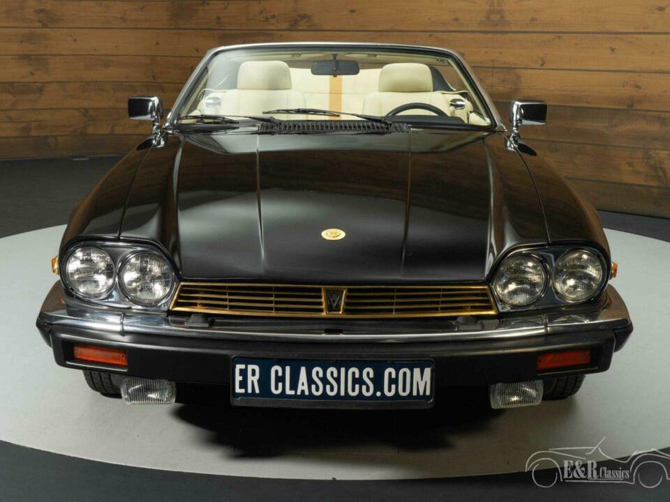 Image 5/19 de Jaguar XJ-S Convertible (1990)