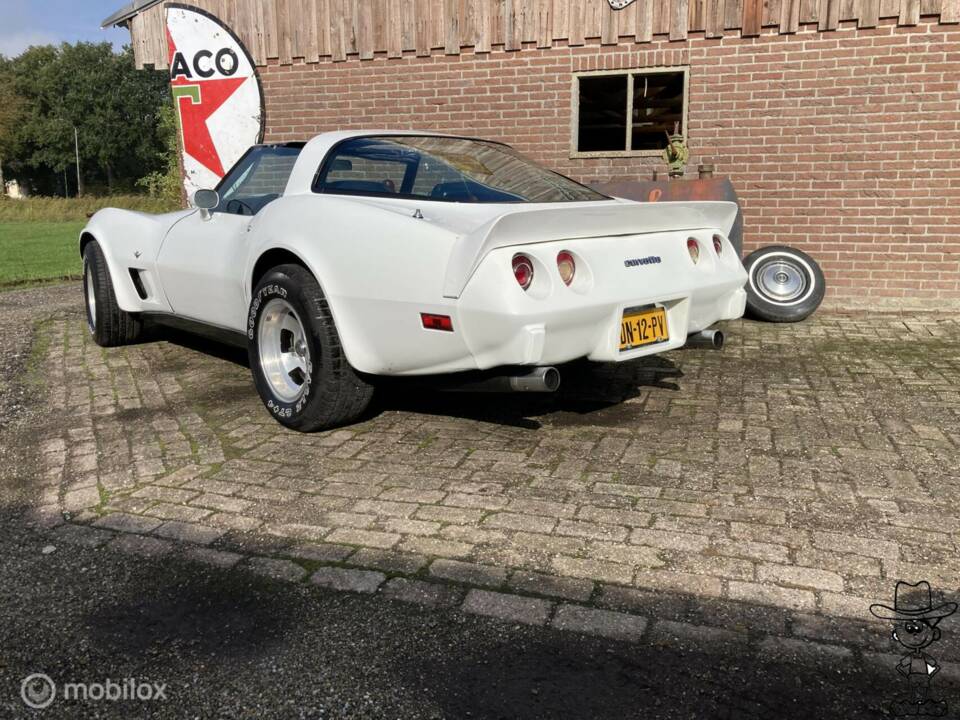 Afbeelding 23/50 van Chevrolet Corvette Sting Ray (1979)