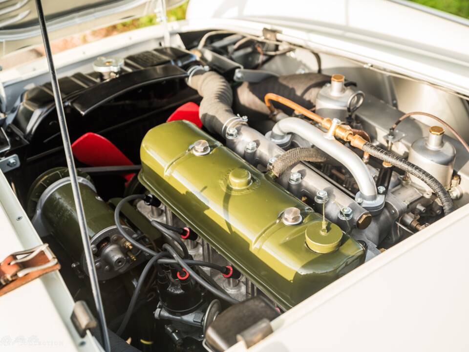 Immagine 17/17 di Austin-Healey 100 S (1955)