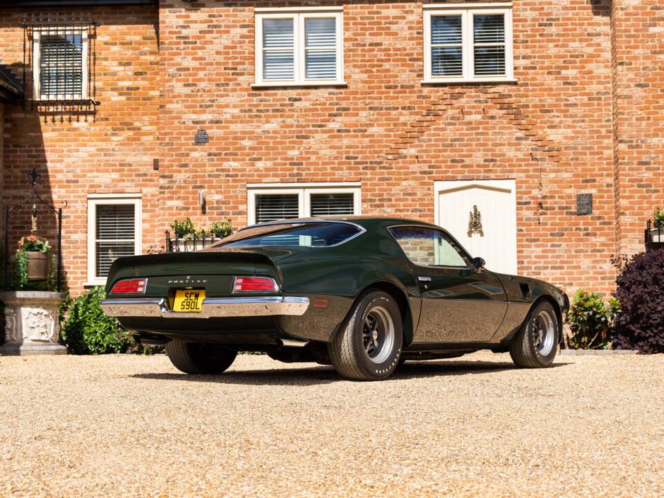 Immagine 3/49 di Pontiac Firebird TransAm (1973)