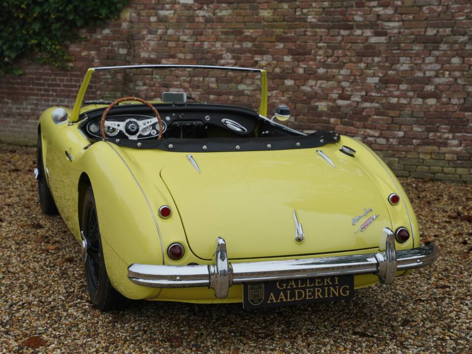 Bild 13/50 von Austin-Healey 3000 Mk I (BN7) (1960)