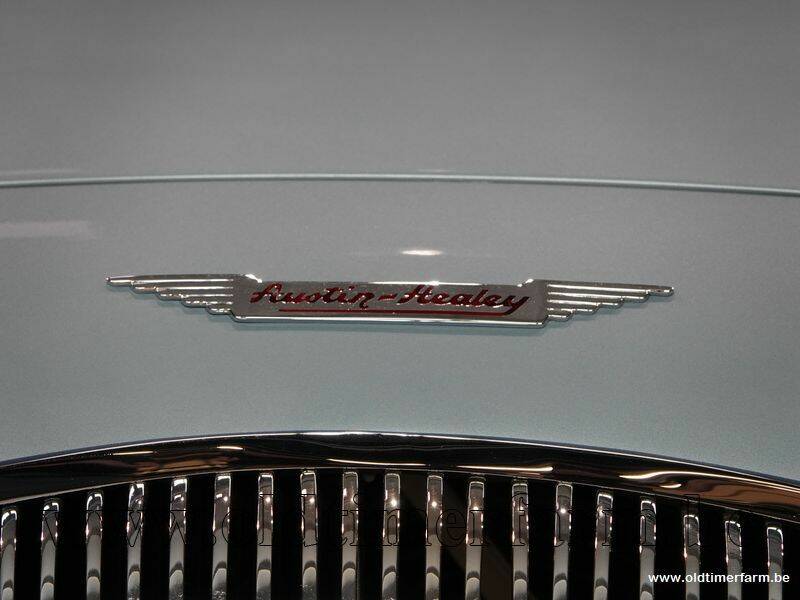 Imagen 11/15 de Austin-Healey 100&#x2F;4 (BN1) (1954)