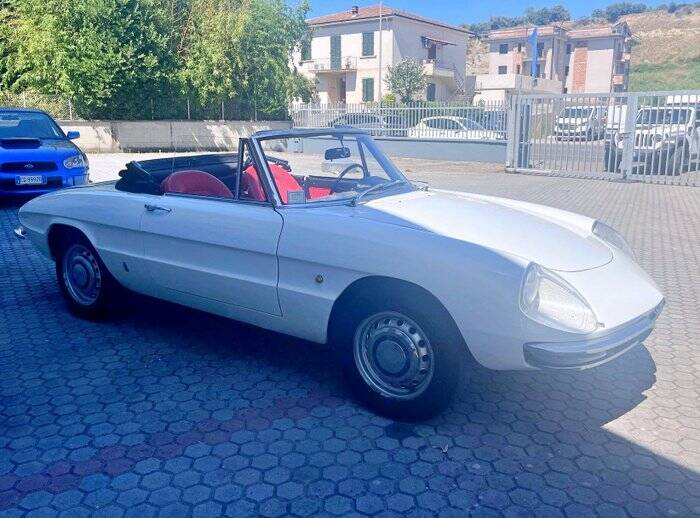 Image 6/7 de Alfa Romeo 1600 Spider Duetto (1967)