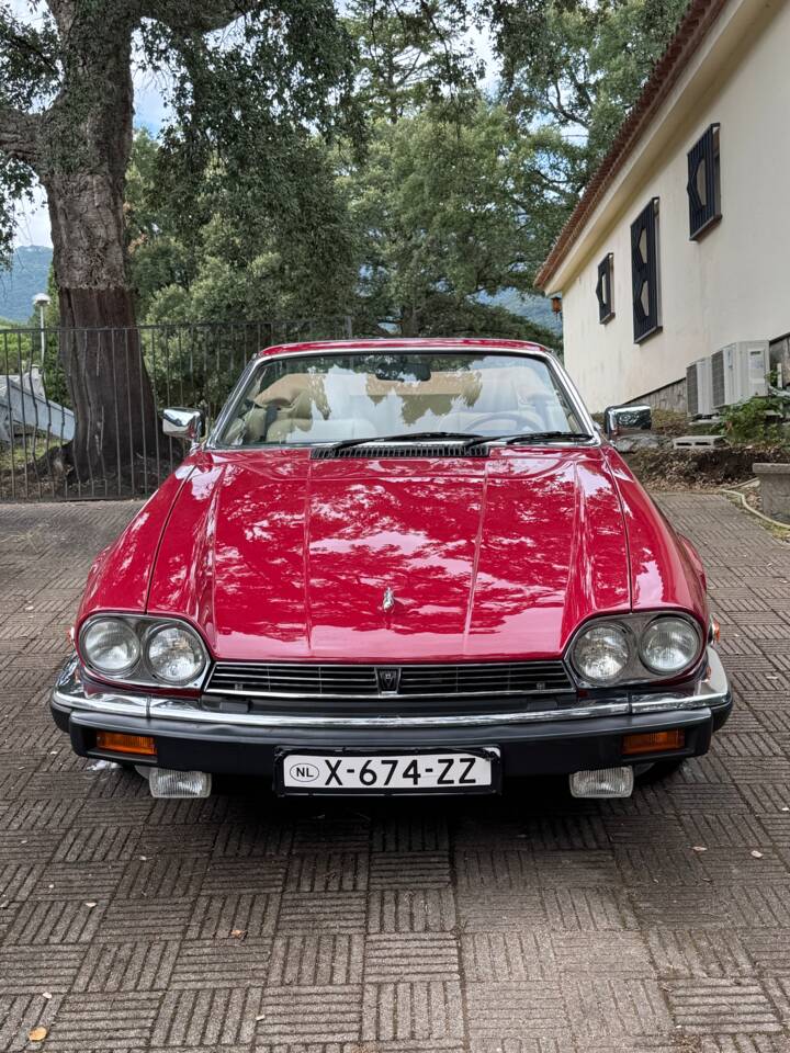 Bild 13/62 von Jaguar XJ-S Convertible (1988)