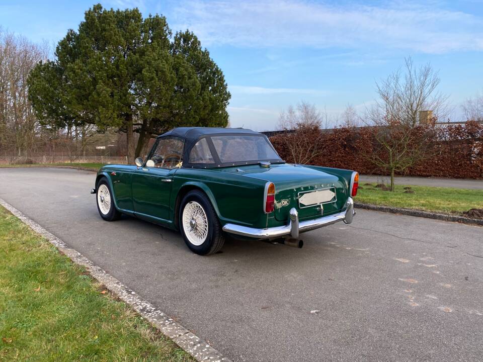 Image 52/66 of Triumph TR 4 (1964)