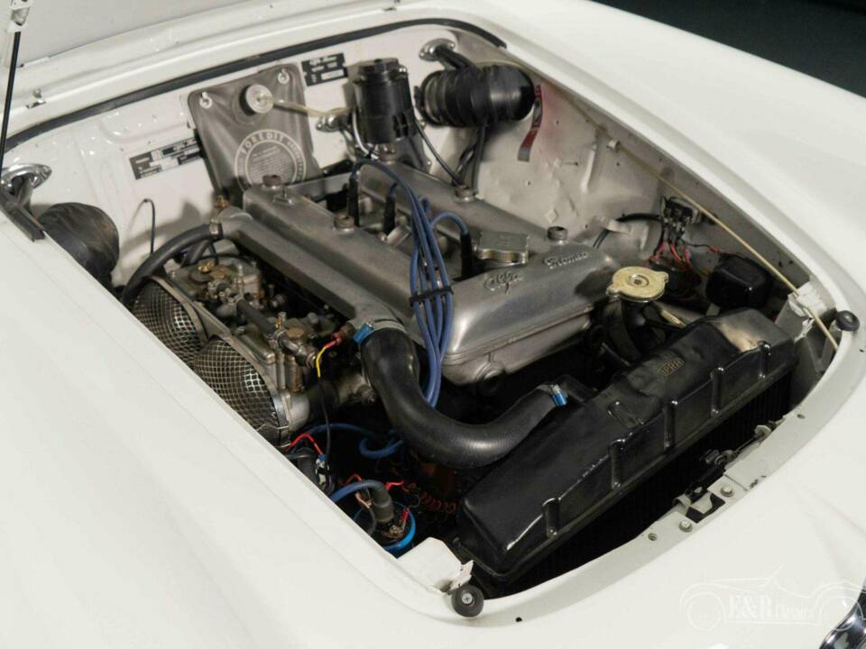 Immagine 3/19 di Alfa Romeo Giulia 1600 Spider Veloce (1964)