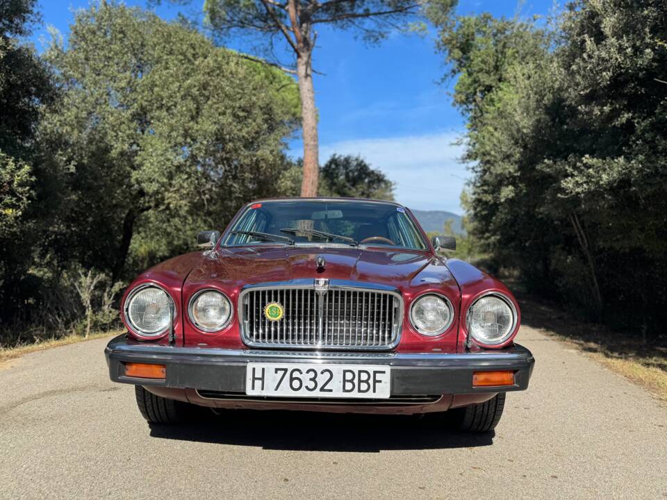 Immagine 37/41 di Jaguar XJ 12 (1990)