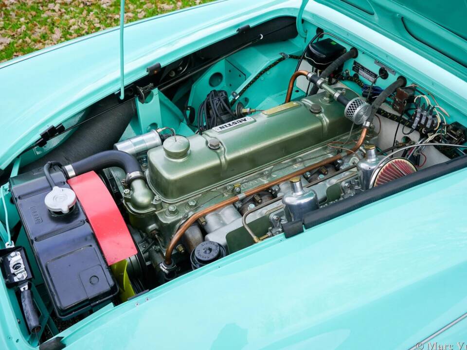 Immagine 20/48 di Austin-Healey 3000 Mk I (BN7) (1960)