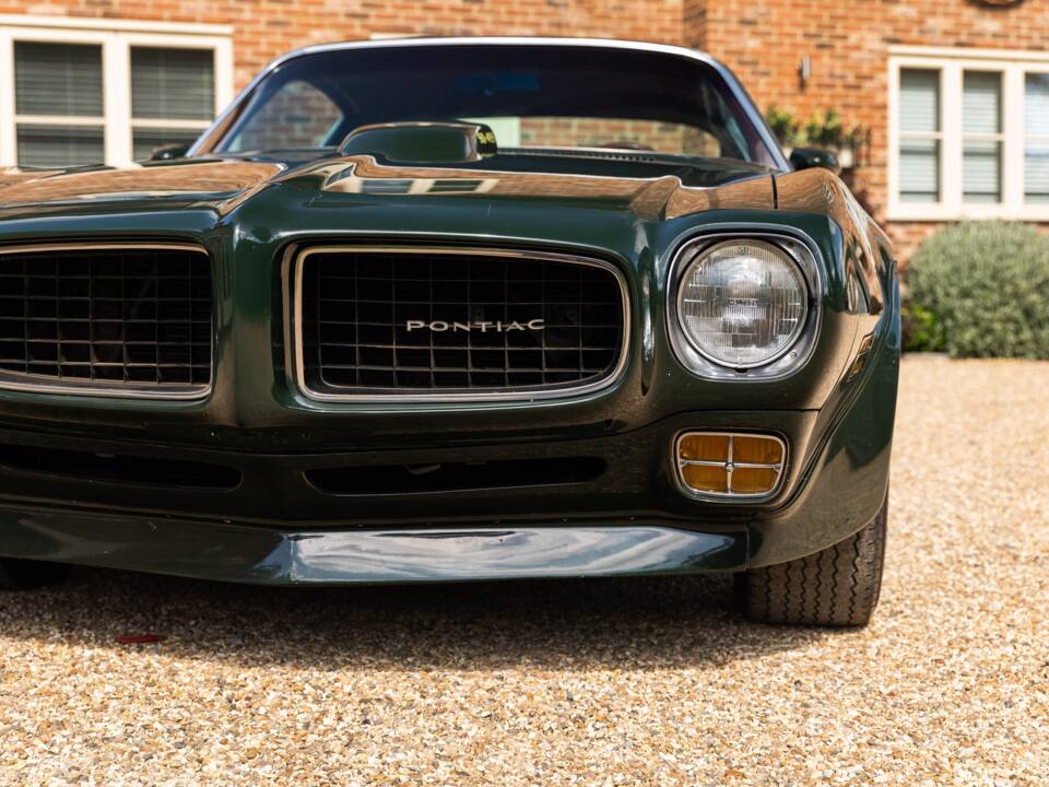 Immagine 11/49 di Pontiac Firebird TransAm (1973)