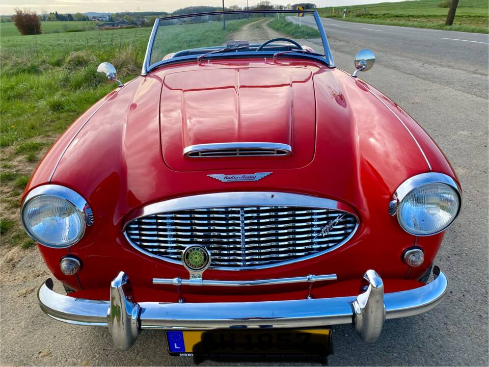 Bild 44/46 von Austin-Healey 100/6 (BN4) (1957)
