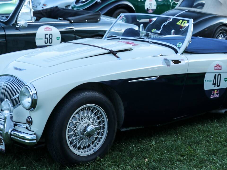 Image 2/4 of Austin-Healey 100/4 (BN1) (1953)