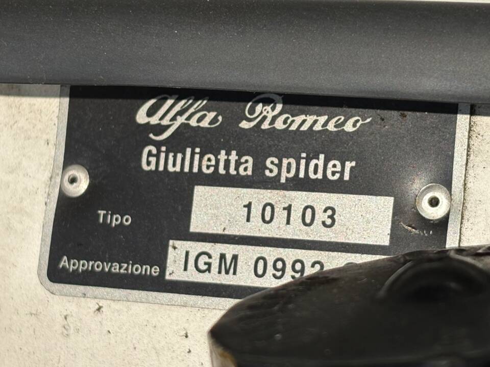 Bild 15/28 von Alfa Romeo Giulietta Spider (1961)