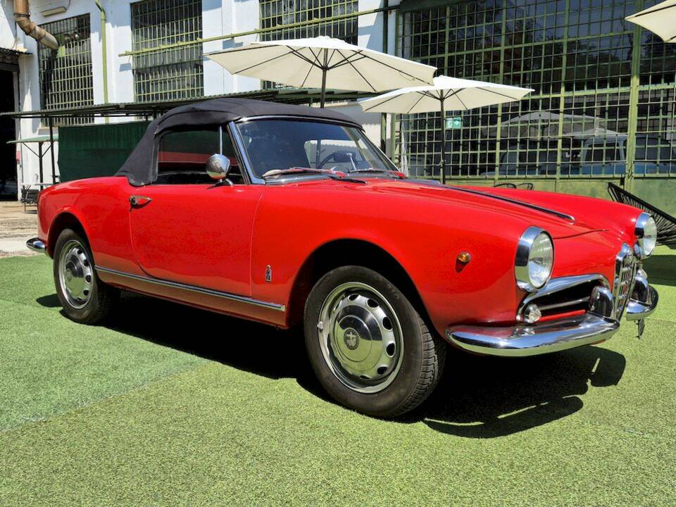 Image 57/71 of Alfa Romeo Giulietta Spider (1961)