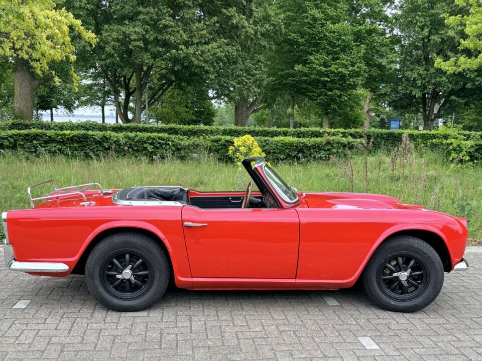 Immagine 4/50 di Triumph TR 4 (1961)