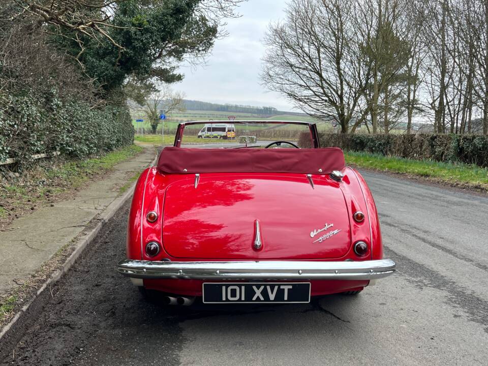 Immagine 5/21 di Austin-Healey 3000 Mk II (BN7) (1962)