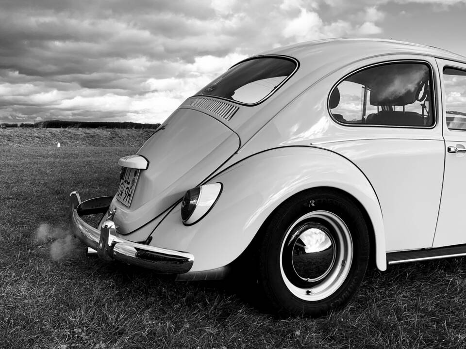 Bild 56/56 von Volkswagen Käfer 1300 (1968)