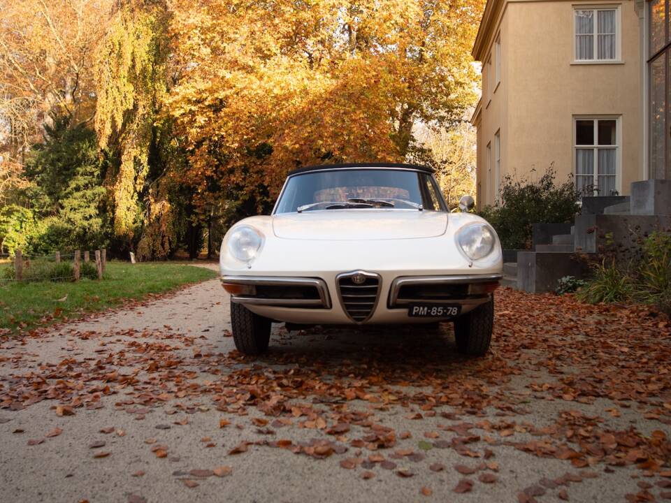 Image 27/50 de Alfa Romeo 1600 Spider Duetto (1967)