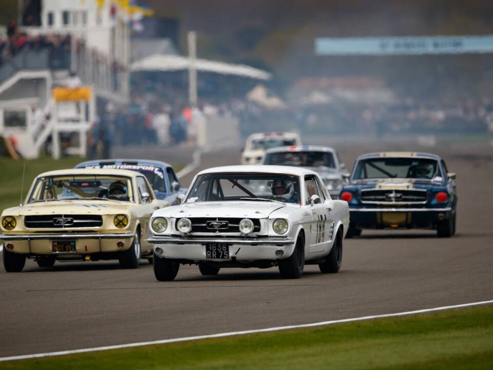 Image 17/20 of Ford Mustang Notchback (1965)