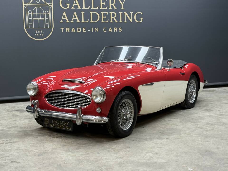 Bild 28/50 von Austin-Healey 3000 Mk I (BT7) (1961)