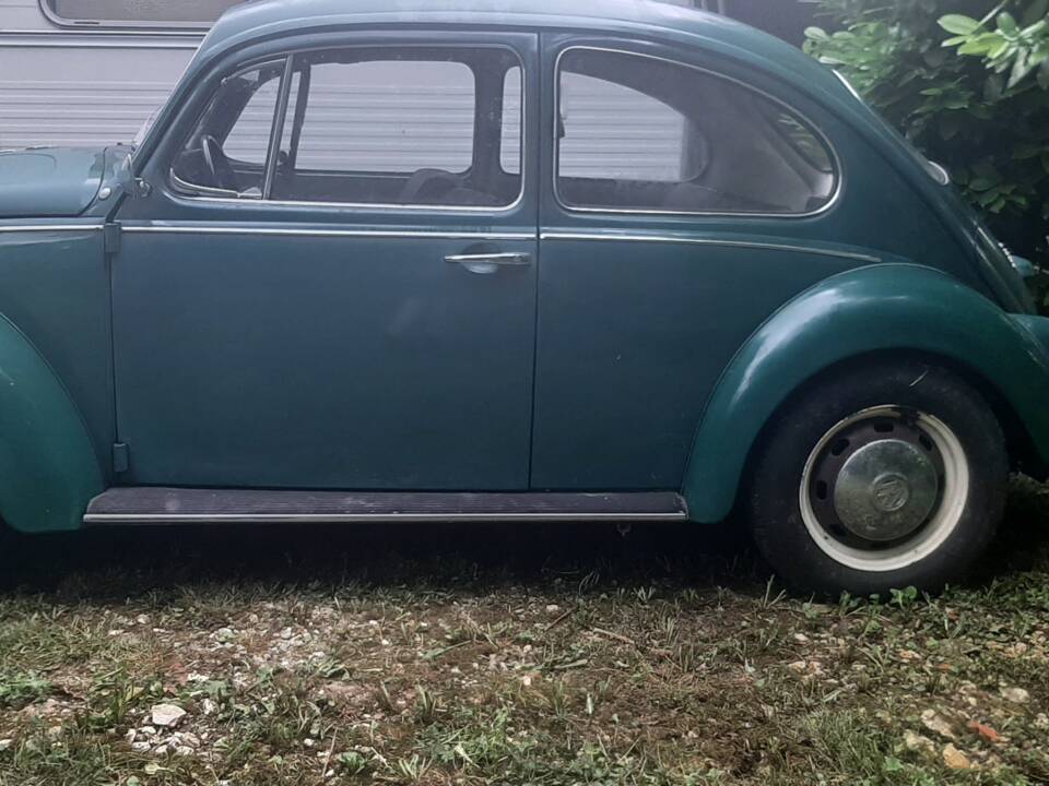 Bild 3/11 von Volkswagen Käfer 1300 (1969)