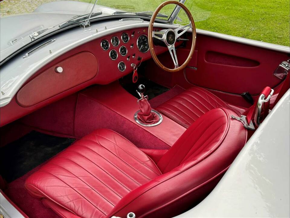 Bild 14/24 von AC Cobra 289 (2001)