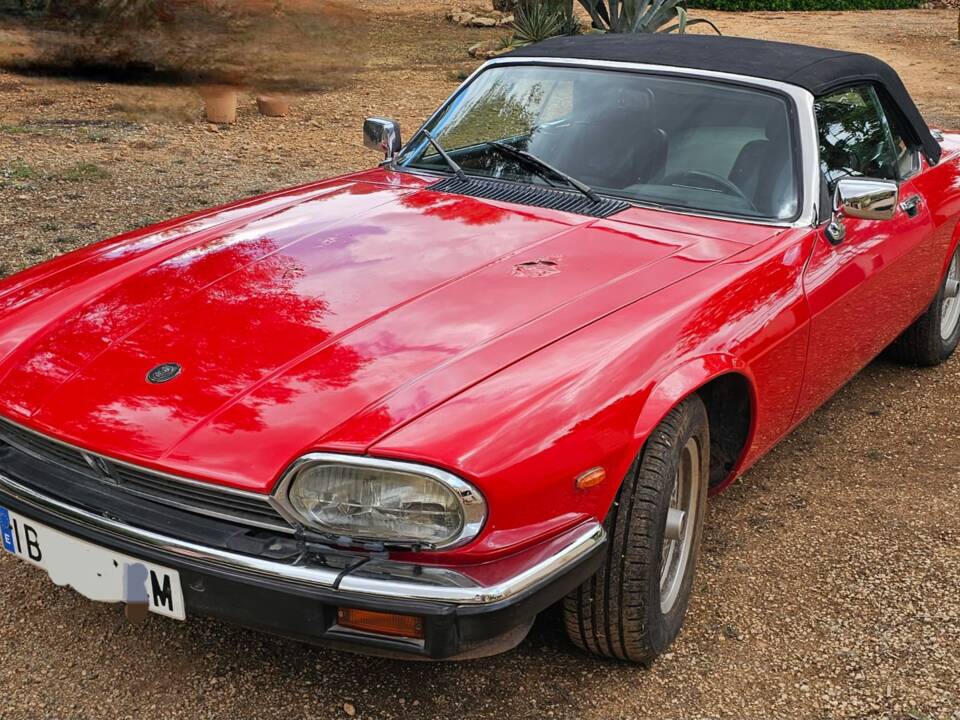 Bild 8/8 von Jaguar XJ-S Convertible (1989)