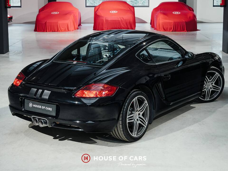 Afbeelding 7/24 van Porsche Cayman S (2008)