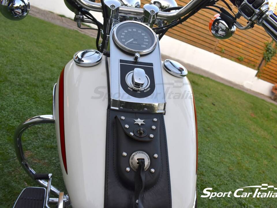 Immagine 19/50 di Harley-Davidson FLSTS 1340 Heritage Springer (1998)