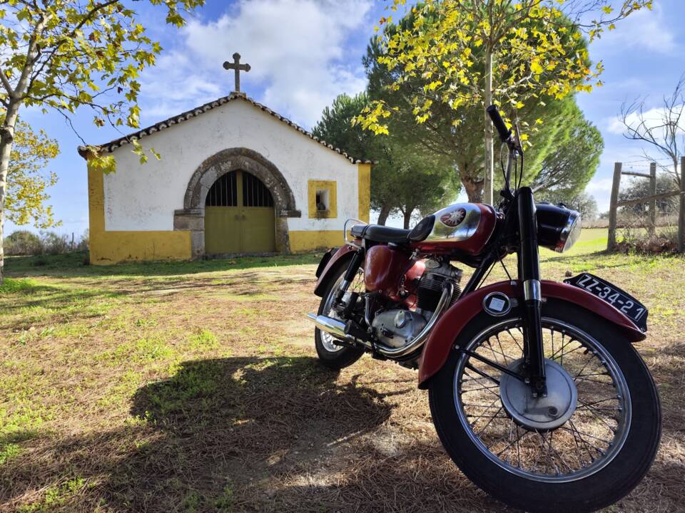 Image 37/51 of BSA B 44 (1966)