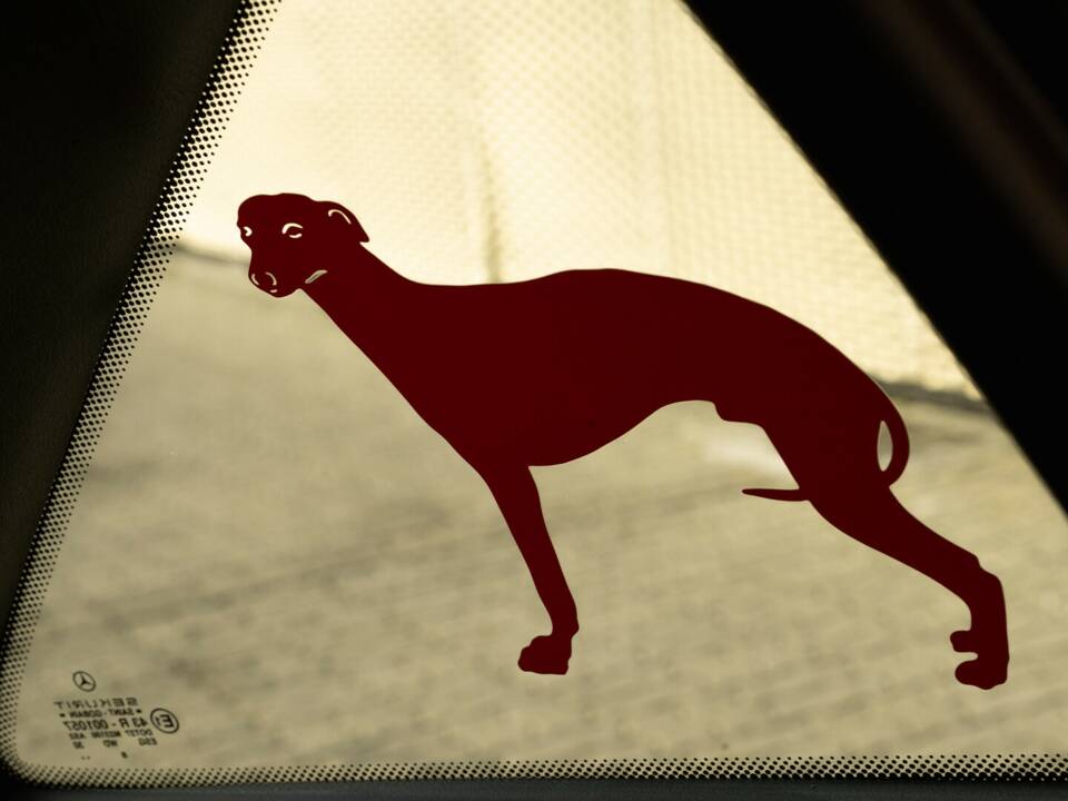 Image 36/41 of Mercedes-Benz A 160 "F1 Häkkinen Edition" (1999)