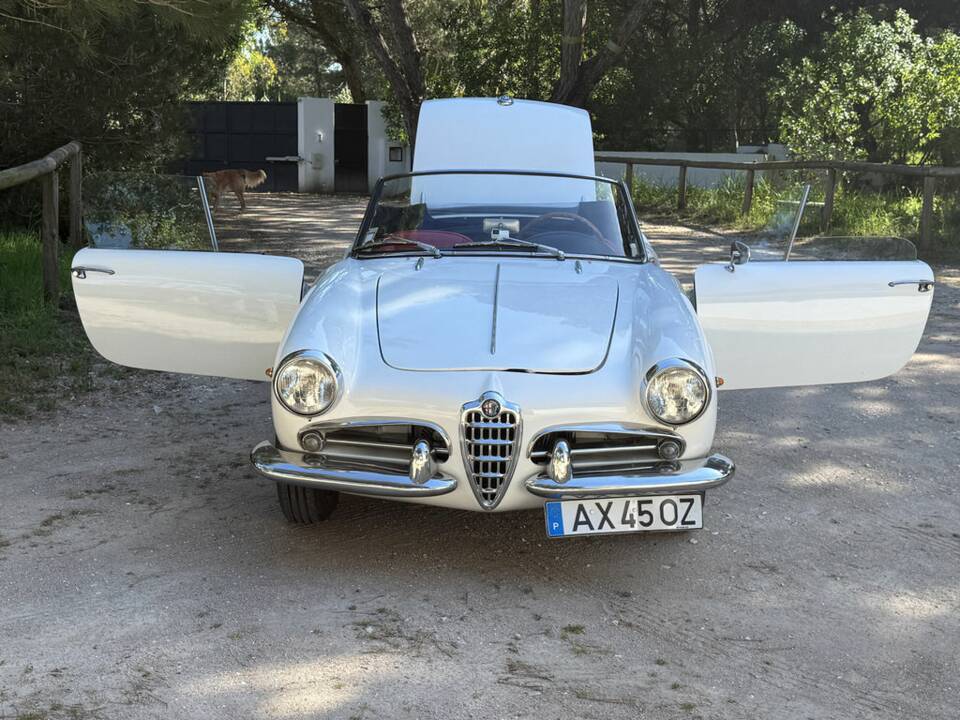Bild 3/8 von Alfa Romeo Giulietta Spider (1960)