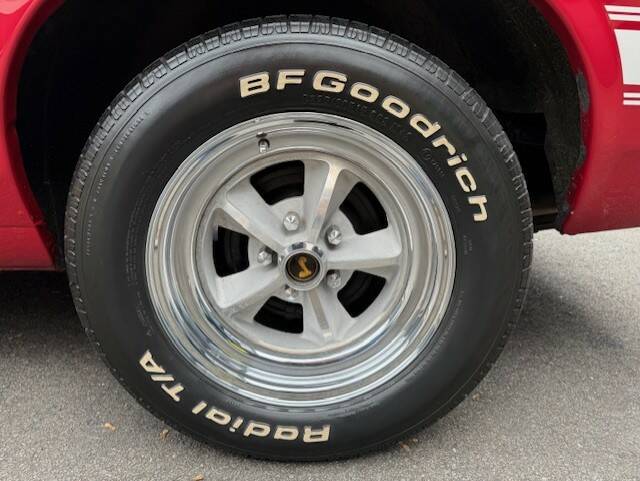 Image 31/31 of Ford Shelby GT 350 (1970)