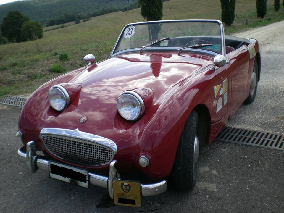 Bild 1/10 von Austin-Healey Sprite Mk I (1959)