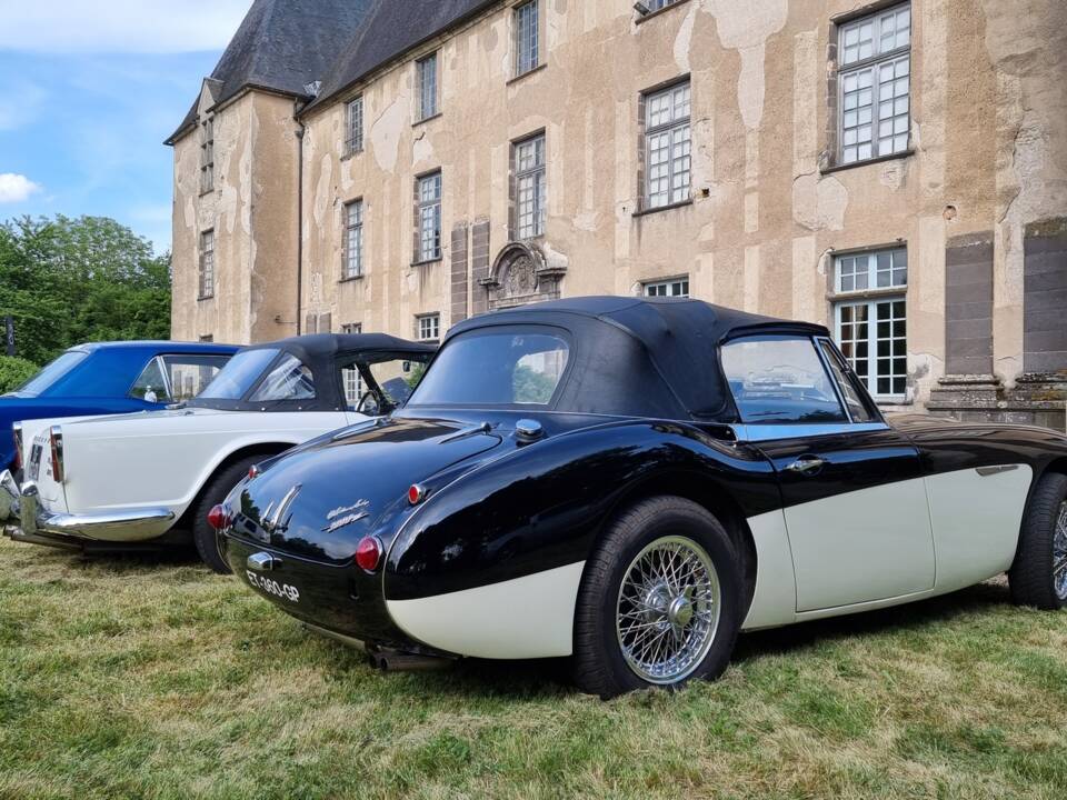 Image 10/11 of Austin-Healey 3000 Mk III (BJ8) (1965)