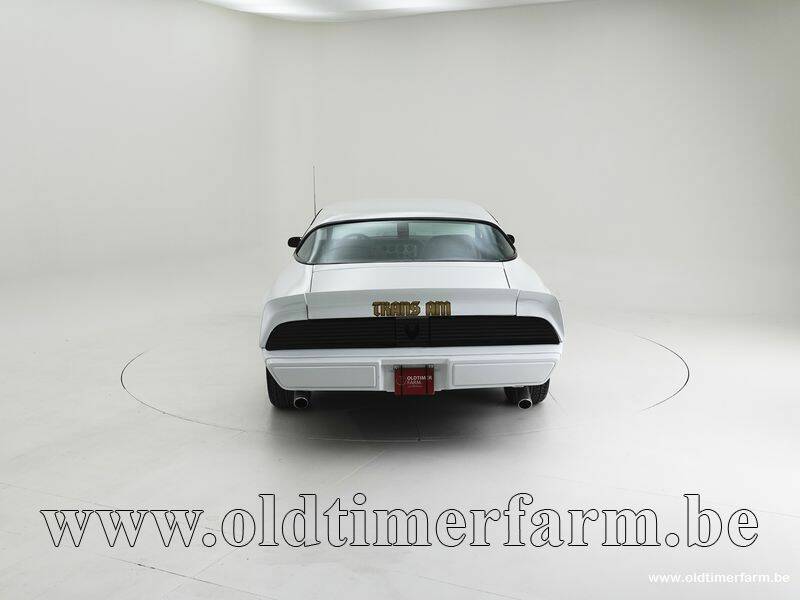 Bild 7/15 von Pontiac Firebird Turbo TransAm (1981)