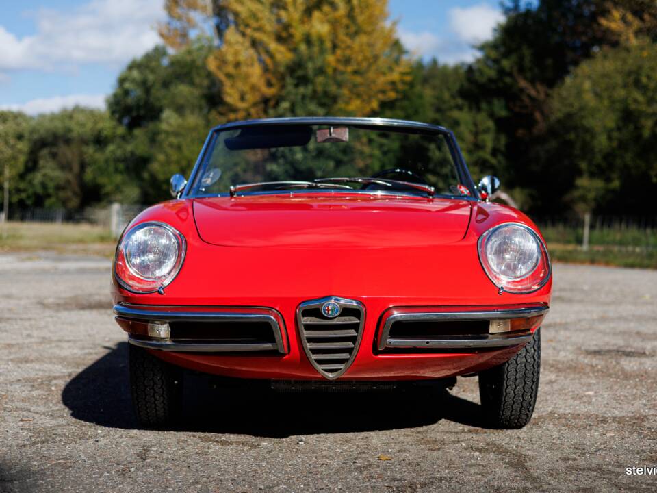 Afbeelding 14/50 van Alfa Romeo 1600 Spider Duetto (1967)
