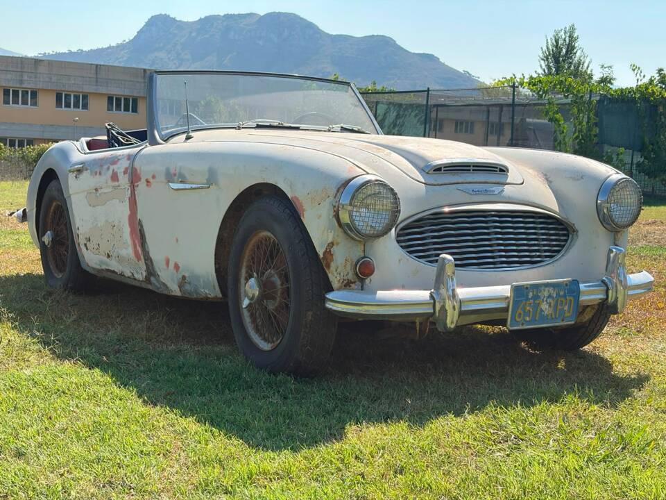 Bild 5/22 von Austin-Healey 3000 Mk II (BN7) (1960)