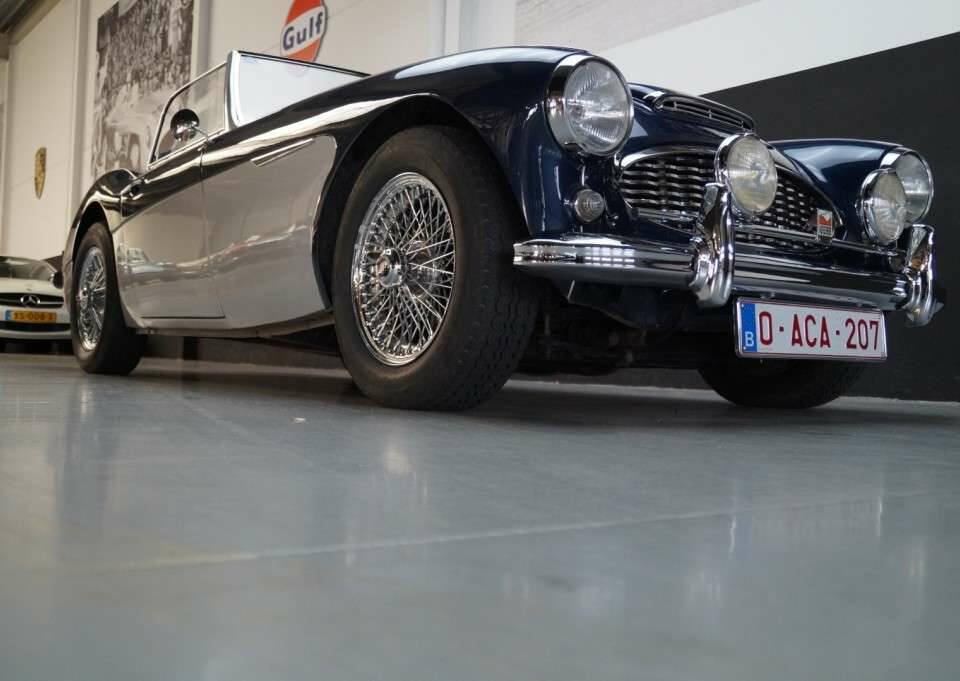 Immagine 24/50 di Austin-Healey 3000 Mk II (BN7) (1961)