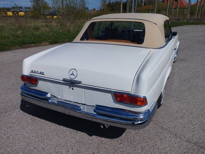 Bild 5/7 von Mercedes-Benz 220 SE b (1962)