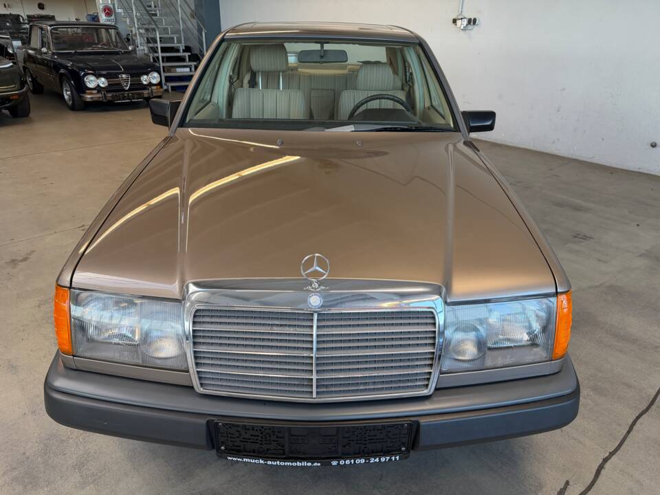 Afbeelding 10/36 van Mercedes-Benz 200 (1988)