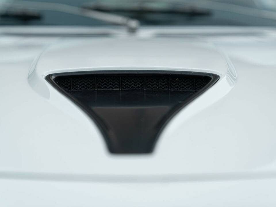 Bild 17/50 von Alfa Romeo Montreal (1972)