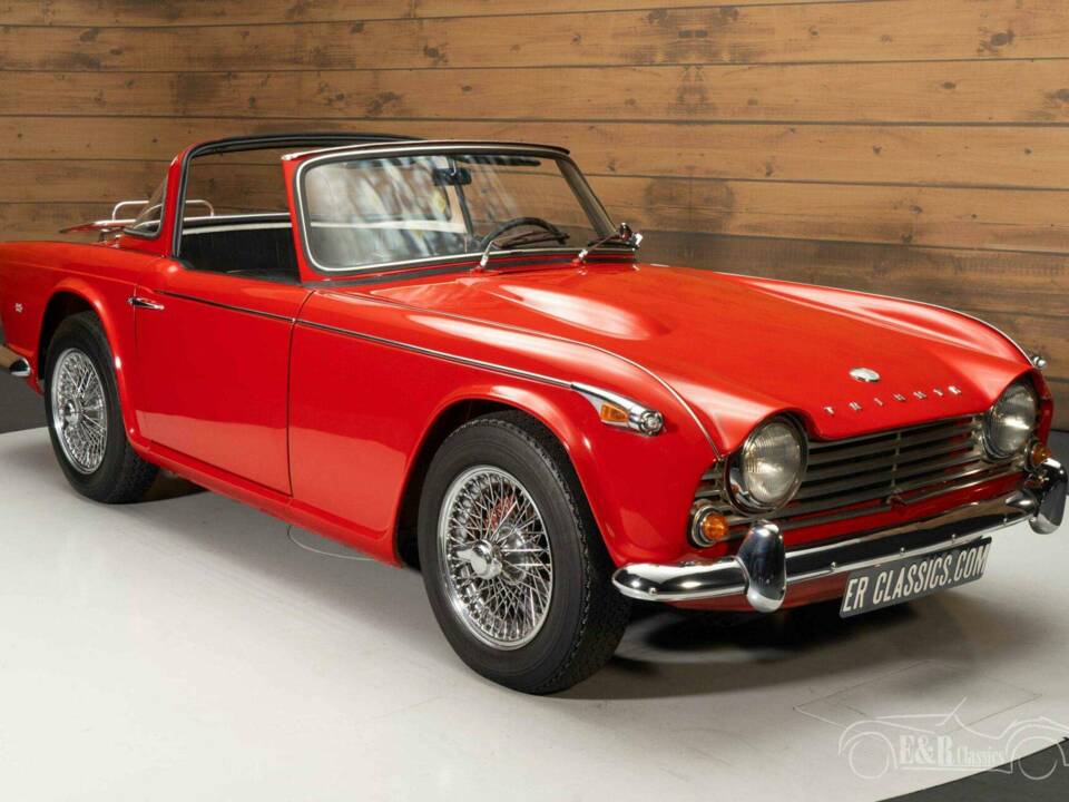 Immagine 4/19 di Triumph TR 4A IRS (1965)