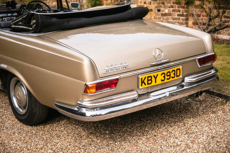 Immagine 10/50 di Mercedes-Benz 250 SE (1966)