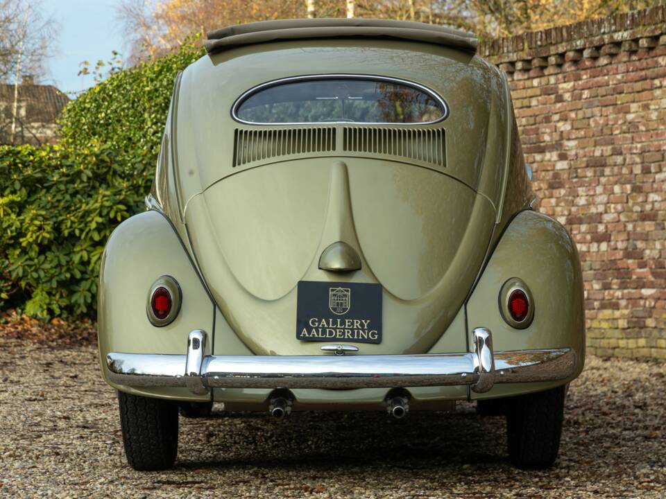 Bild 37/50 von Volkswagen Beetle 1200 Standard "Oval" (1956)