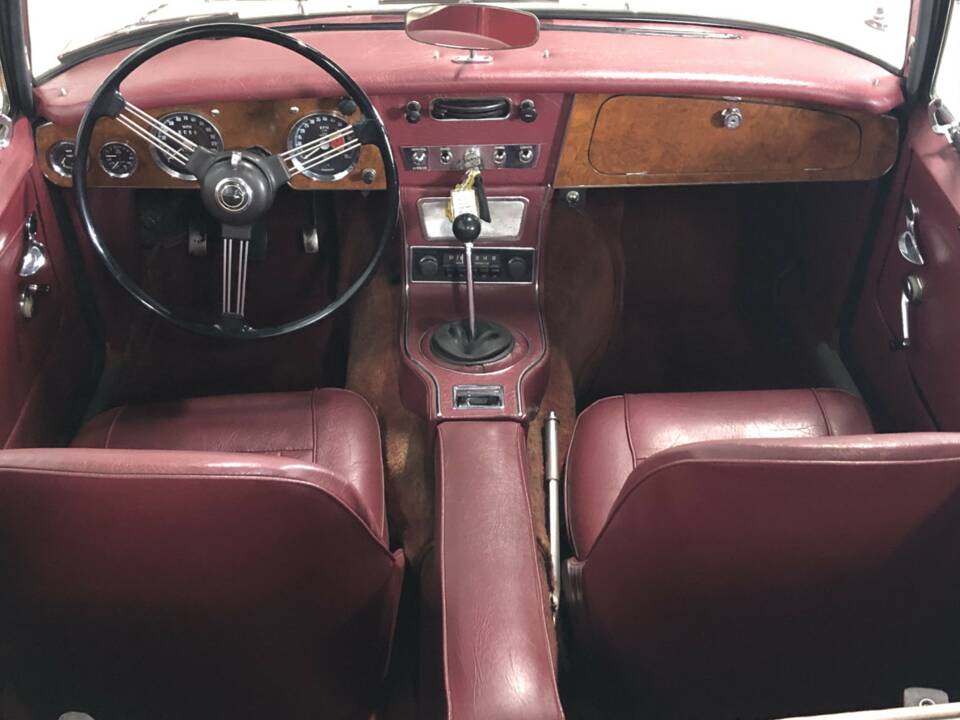 Image 18/24 of Austin-Healey 3000 Mk III (BJ8) (1965)